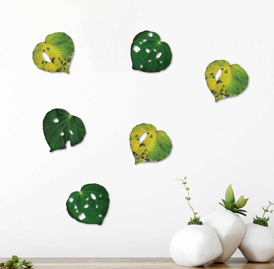 Printed Kawakawa leaves - gonepottynz